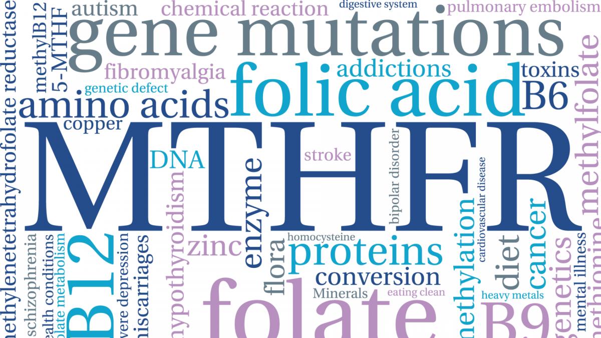How Well Do You Methylate? : A Key to Healthy Gene Function, Liver Detoxification, Brain and Mood Management and More