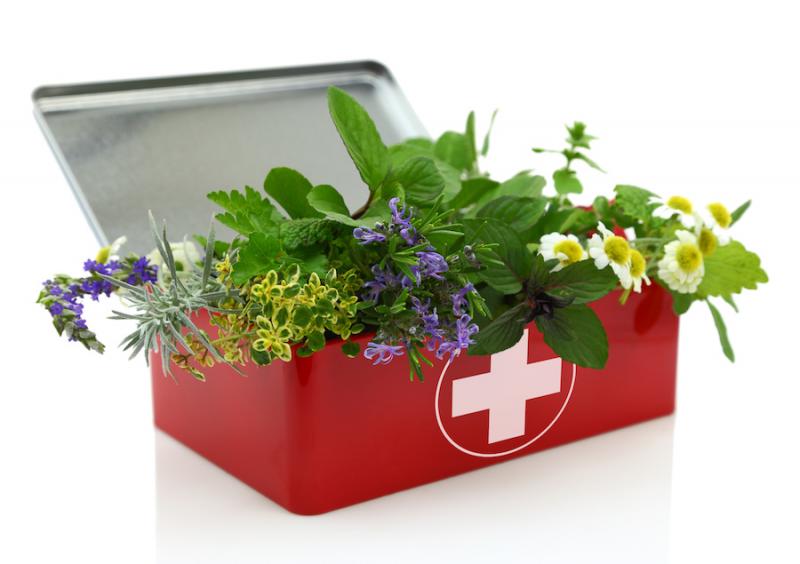 Natural Remedies for First Aid: Valuable skills and remedies for first aid