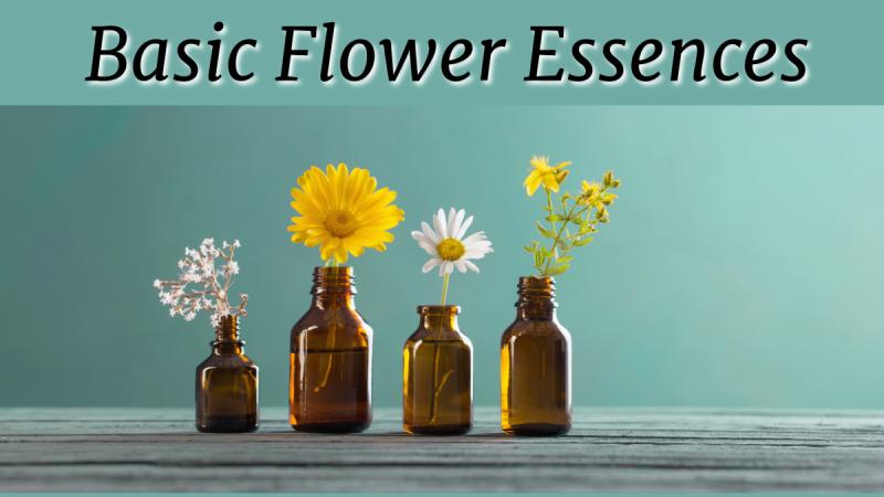 Basic Flower Essences