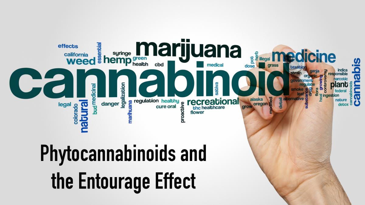 Phytocannabinoids and the Entourage Effect