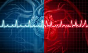 A Holistic Approach to Heart Disease