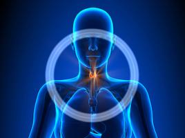 A Holistic Approach to Thyroid Disease