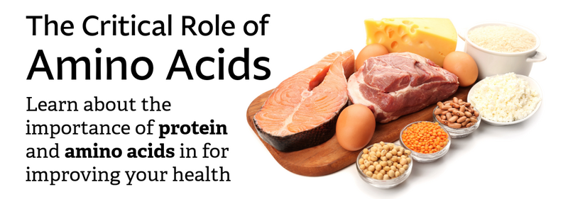 The Critical Role of Amino Acids