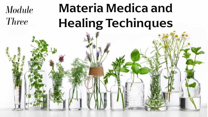 Module 3 Materia Medica