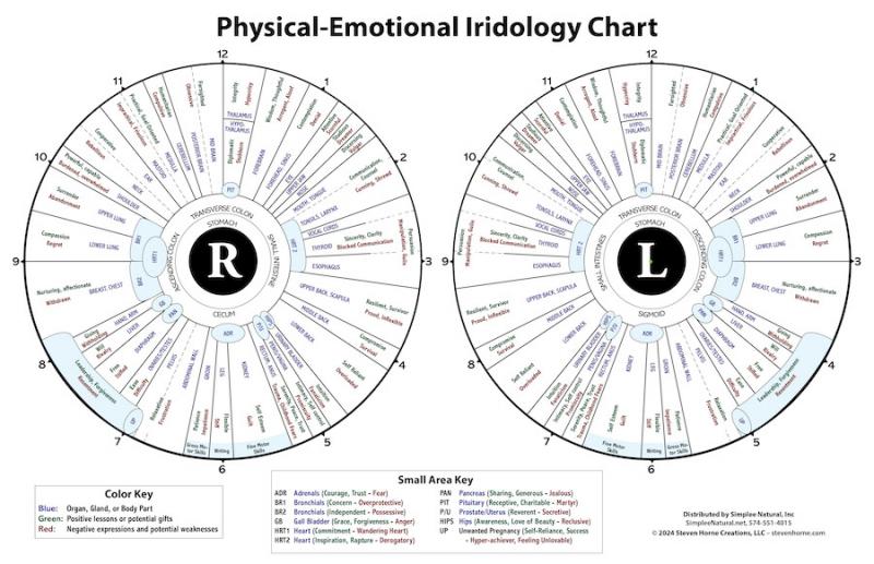 Physical Emotional Iridology Chart