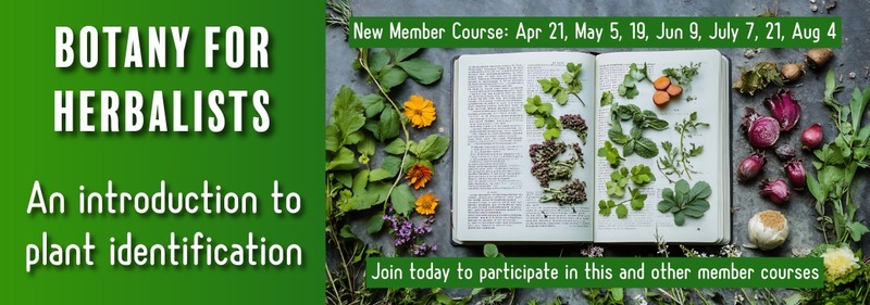 Field Botany Banner 2