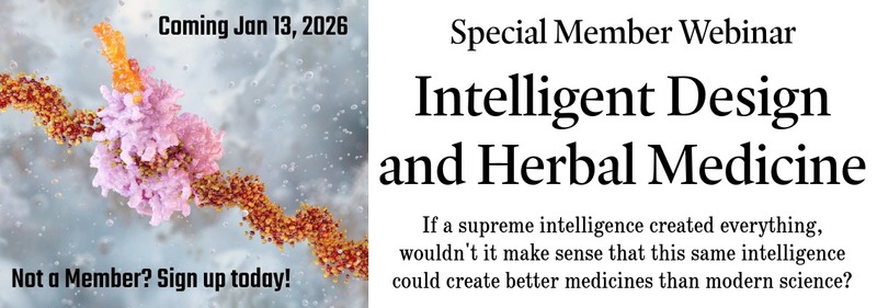 Intelligent Design Banner